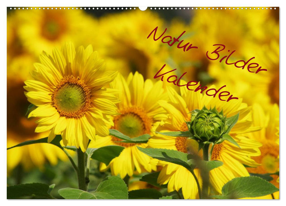 Natur Bilder Kalender (CALVENDO Wandkalender 2027)