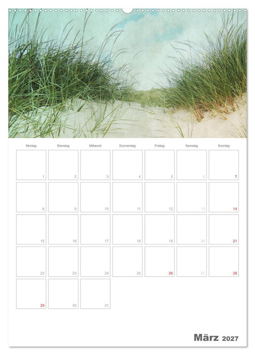 Dänemarks Westküste (CALVENDO Premium Wandkalender 2027)