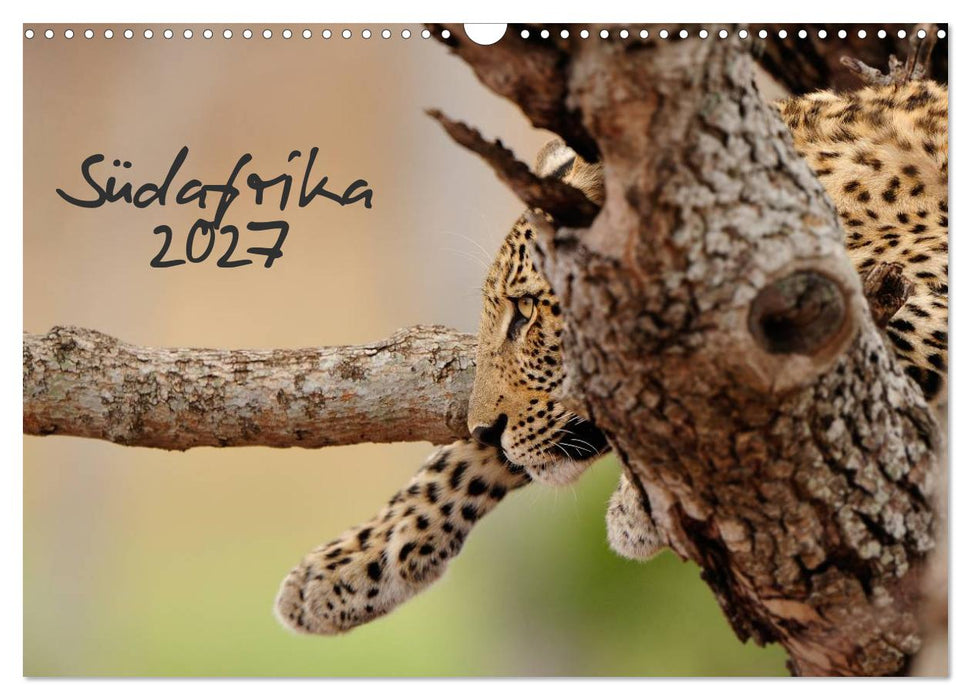 Südafrika (CALVENDO Wandkalender 2027)