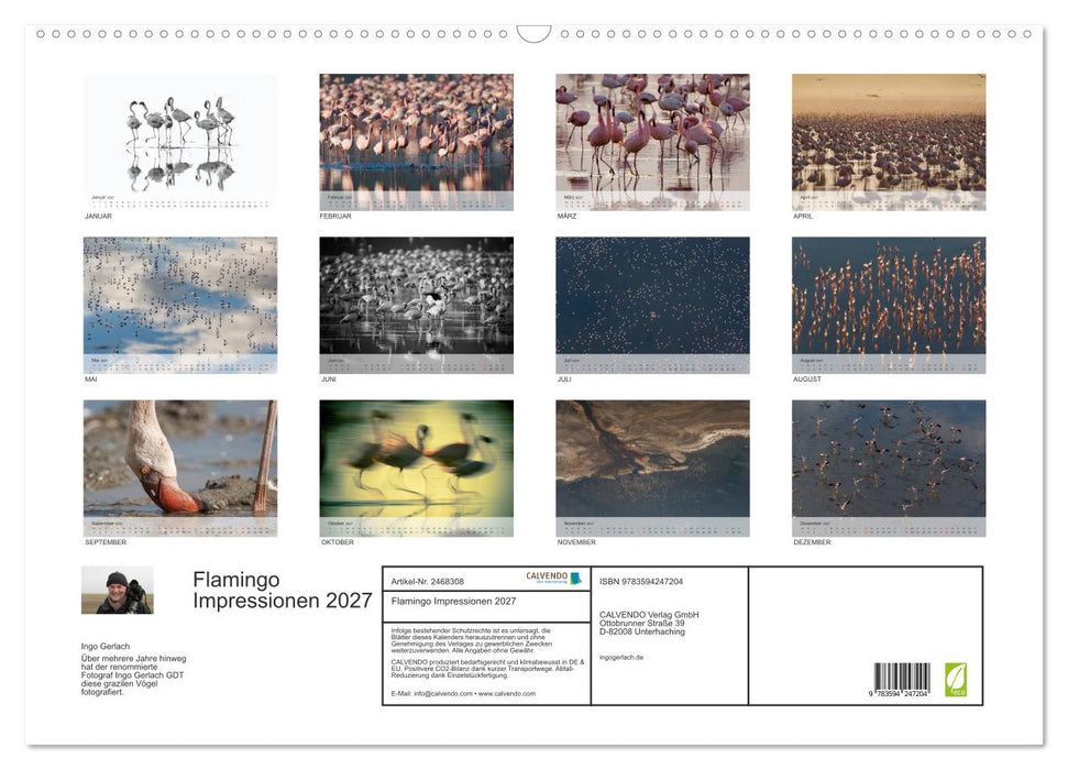 Flamingo Impressionen 2027 (CALVENDO Wandkalender 2027)