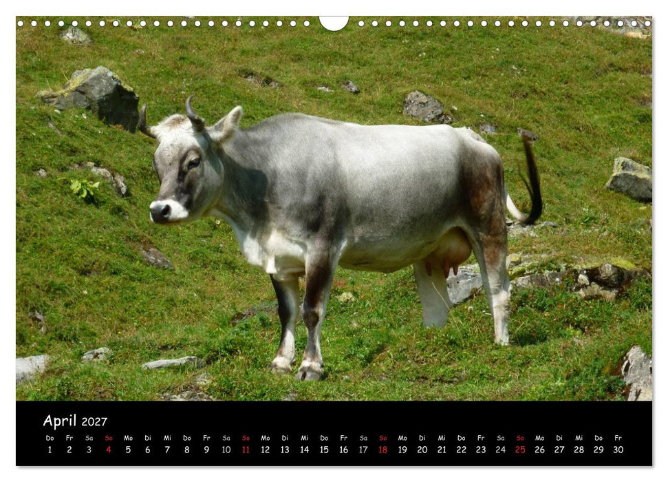 Alpenwelten (CALVENDO Wandkalender 2027)