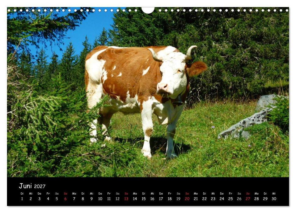 Alpenwelten (CALVENDO Wandkalender 2027)
