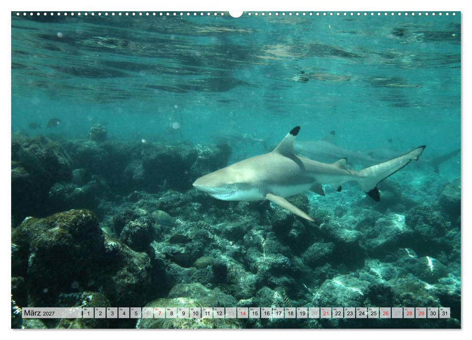 MALEDIVEN (CALVENDO Wandkalender 2027)