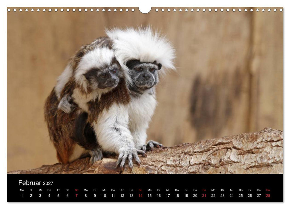 Zoo-Kinder (CALVENDO Wandkalender 2027)