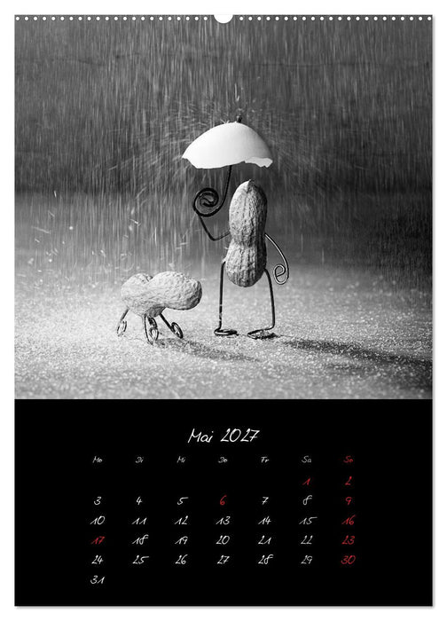 Simple Things 2027 (CALVENDO Premium Wandkalender 2027)