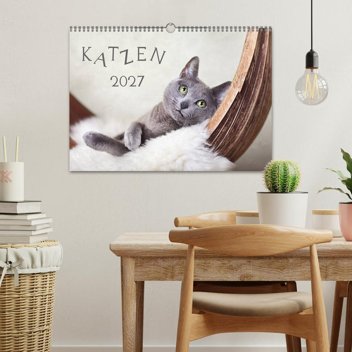 Katzen 2027 (CALVENDO Wandkalender 2027)