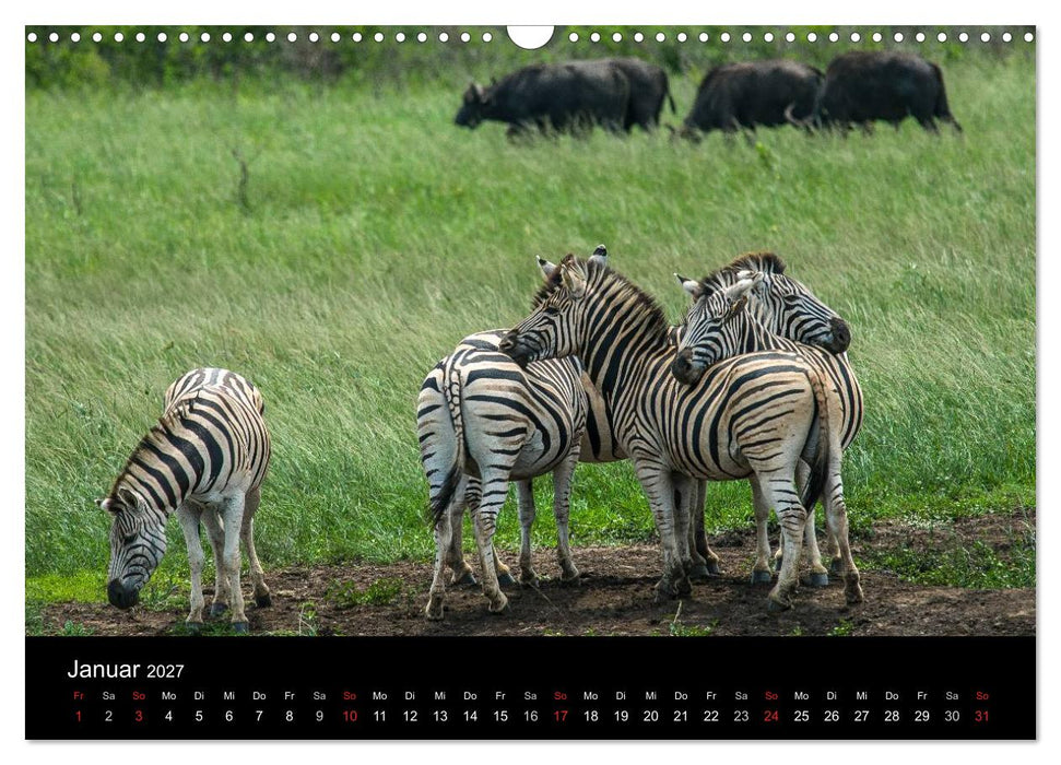 Südafrika (CALVENDO Wandkalender 2027)