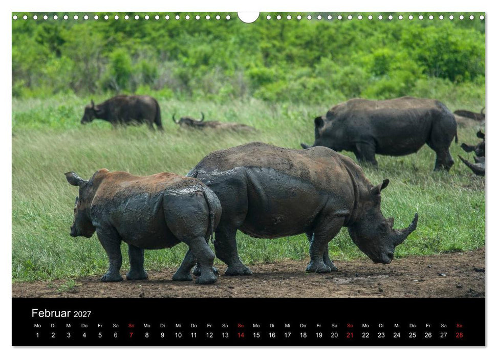 Südafrika (CALVENDO Wandkalender 2027)