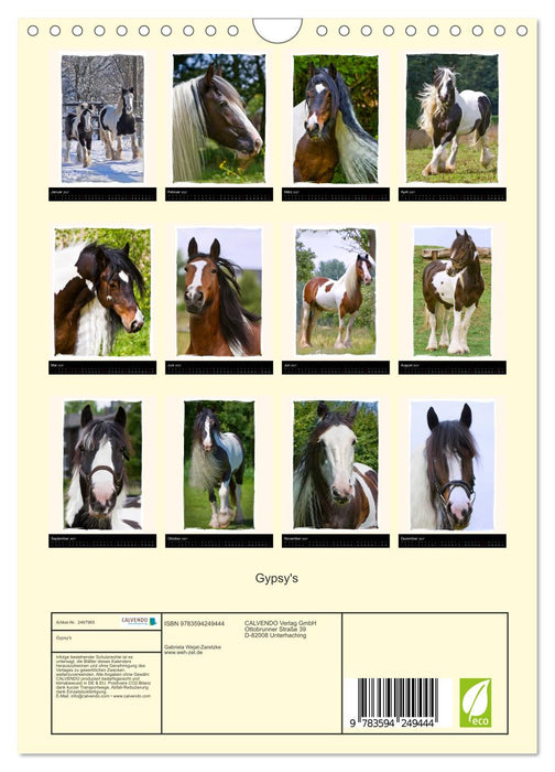 Gypsy's (CALVENDO Wandkalender 2027)