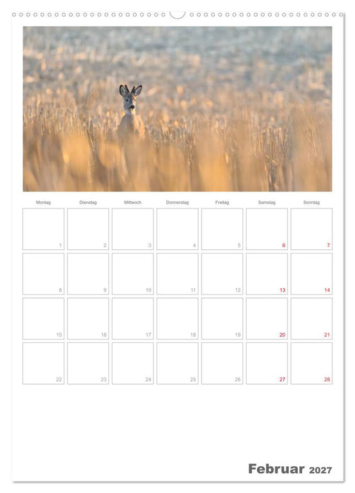 Rehe & Co / Planer (CALVENDO Premium Wandkalender 2027)
