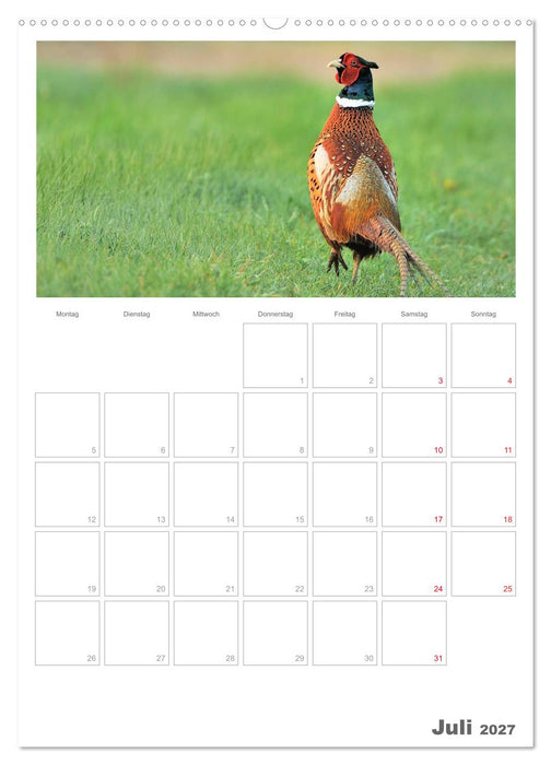 Rehe & Co / Planer (CALVENDO Premium Wandkalender 2027)