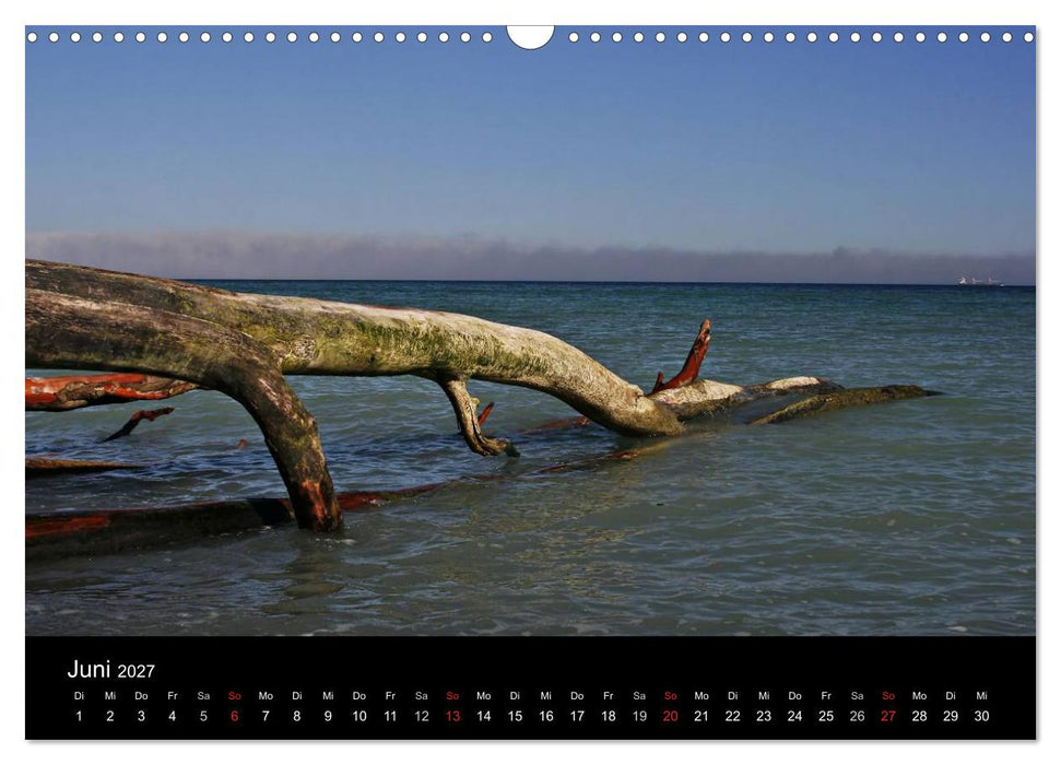 Rügen (CALVENDO Wandkalender 2027)