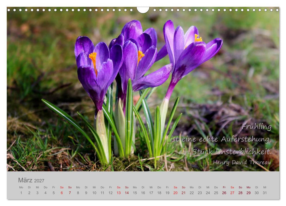 Jahres-Zeiten (CALVENDO Wandkalender 2027)