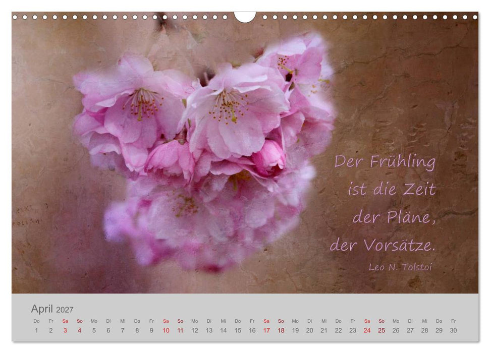Jahres-Zeiten (CALVENDO Wandkalender 2027)
