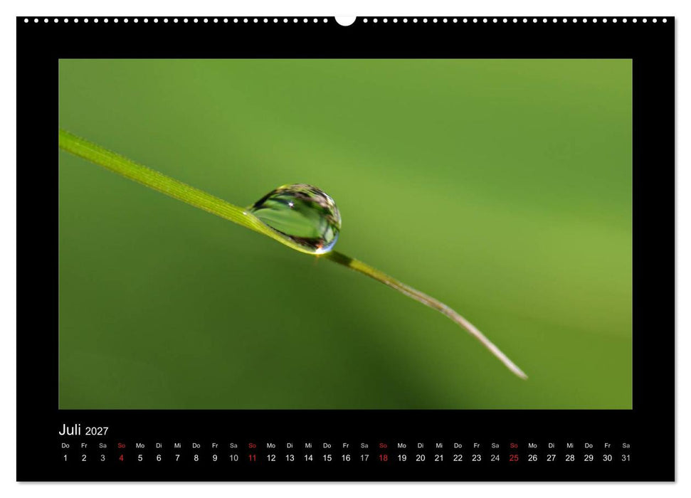 Meine kleine grüne Wassertropfen Welt (CALVENDO Premium Wandkalender 2027)