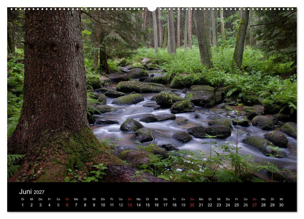 Märchenkulissen - Landschaften der Oberpfalz (CALVENDO Premium Wandkalender 2027)