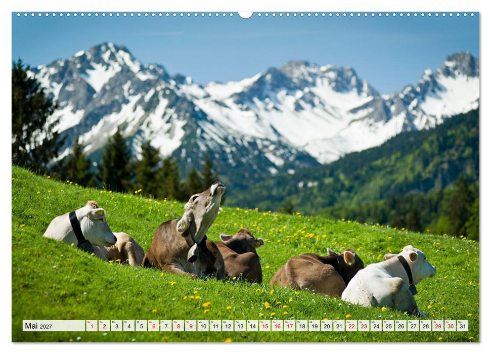 Traumhaftes Allgäu (CALVENDO Wandkalender 2027)