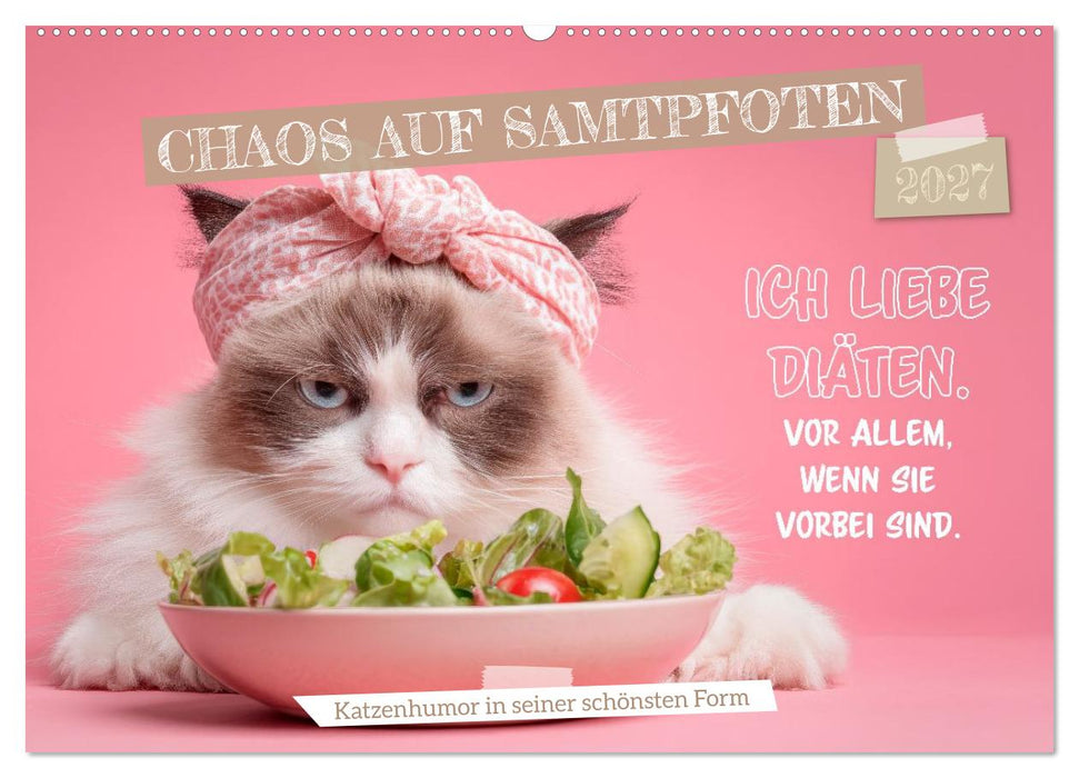 Chaos auf Samtpfoten (CALVENDO Wandkalender 2027)