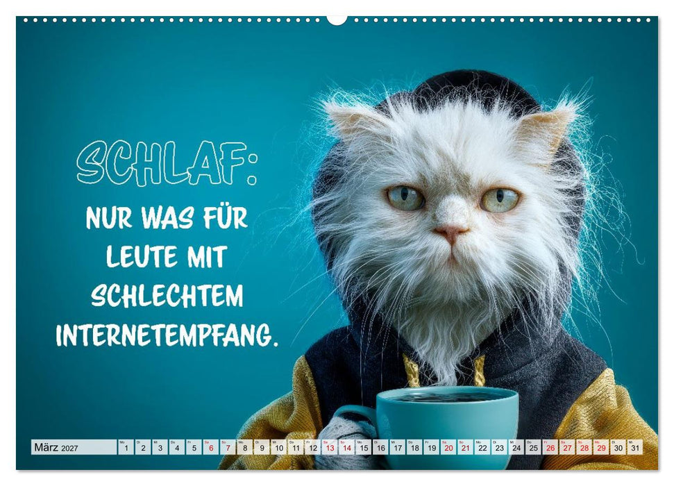 Chaos auf Samtpfoten (CALVENDO Wandkalender 2027)