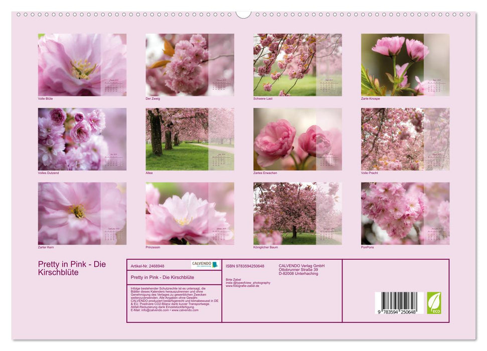 Pretty in Pink - Die Kirschblüte (CALVENDO Premium Wandkalender 2027)