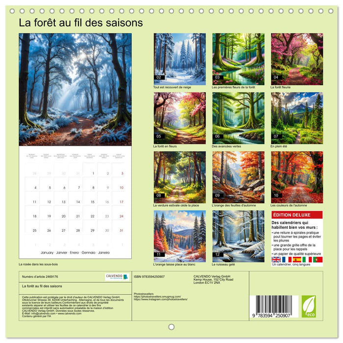 La forêt au fil des saisons (CALVENDO Calendrier mensuel 2027)