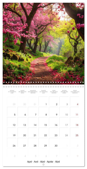 La forêt au fil des saisons (CALVENDO Calendrier mensuel 2027)