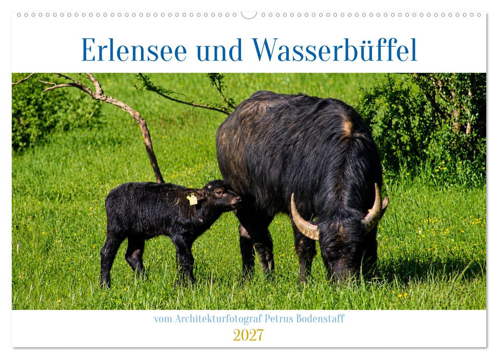 Erlensee und Wasserbüffel (CALVENDO Wandkalender 2027)