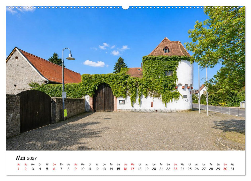 Erlensee und Wasserbüffel (CALVENDO Wandkalender 2027)