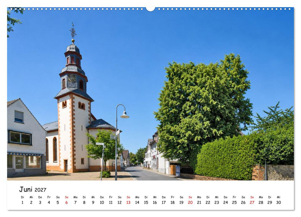 Erlensee und Wasserbüffel (CALVENDO Wandkalender 2027)