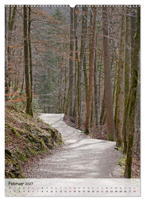 Wege als Traumpfade (CALVENDO Wandkalender 2027)