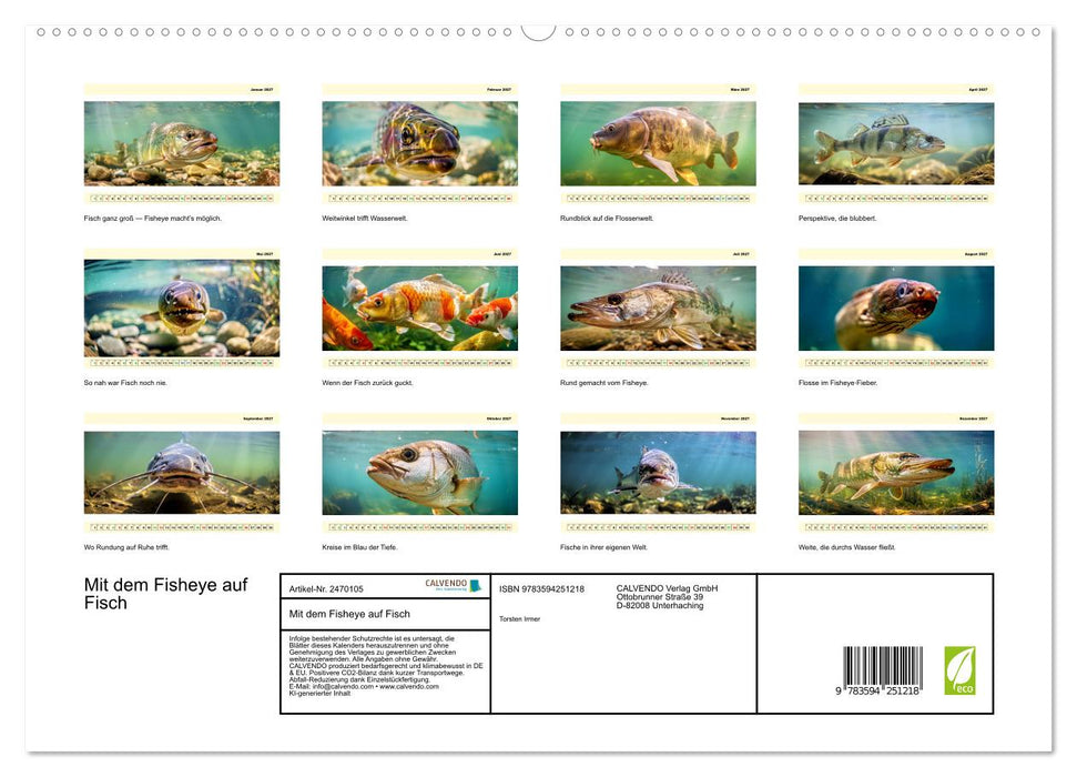Mit dem Fisheye auf Fisch (CALVENDO Premium Wandkalender 2027)