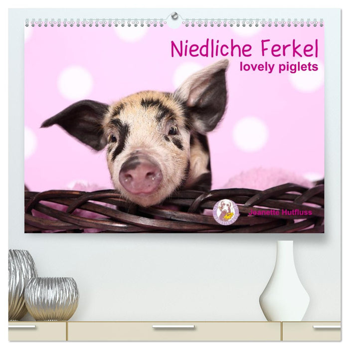Niedliche Ferkel lovely piglets (CALVENDO Premium Wandkalender 2027)