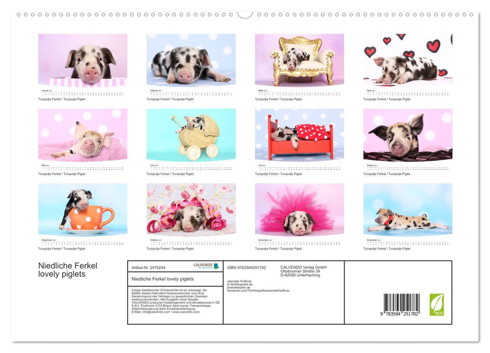 Niedliche Ferkel lovely piglets (CALVENDO Premium Wandkalender 2027)