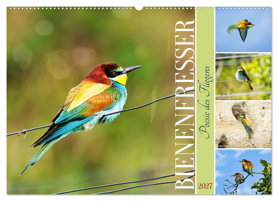 Bienenfresser, Poesie des Fliegens (CALVENDO Wandkalender 2027)