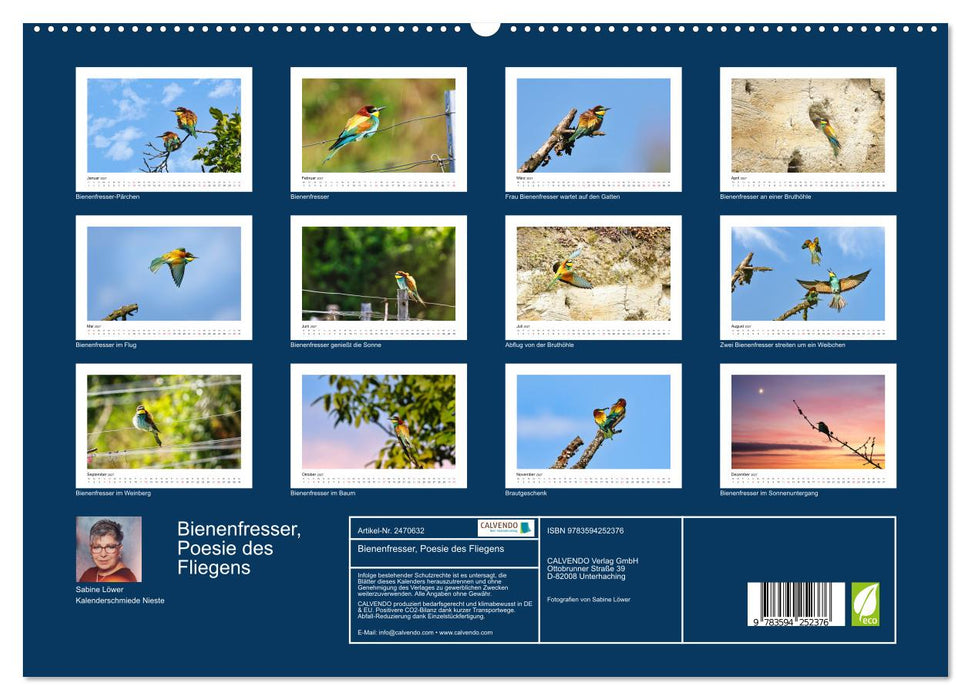 Bienenfresser, Poesie des Fliegens (CALVENDO Wandkalender 2027)
