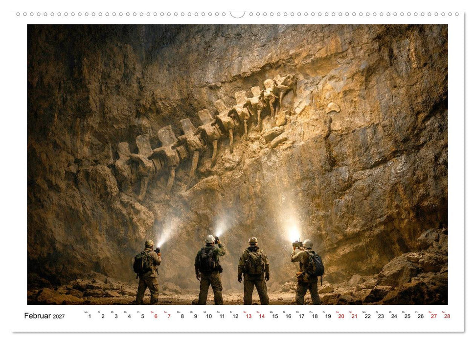 Verrückt nach Fossilien (CALVENDO Premium Wandkalender 2027)