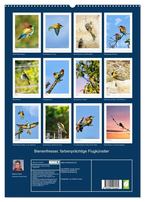 Bienenfresser, farbenprächtige Flugkünstler (CALVENDO Premium Wandkalender 2027)