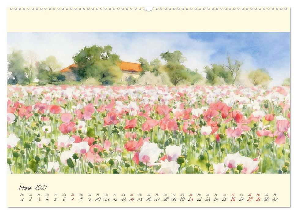 Blüten bis zum Horizont (CALVENDO Wandkalender 2027)