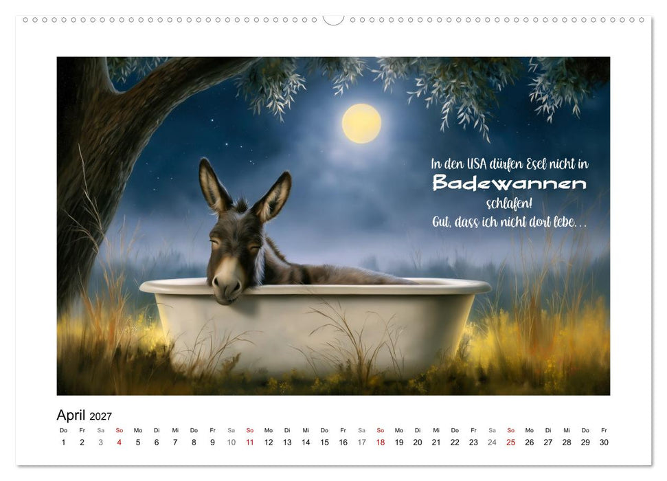 Lieblingsesel (CALVENDO Wandkalender 2027)