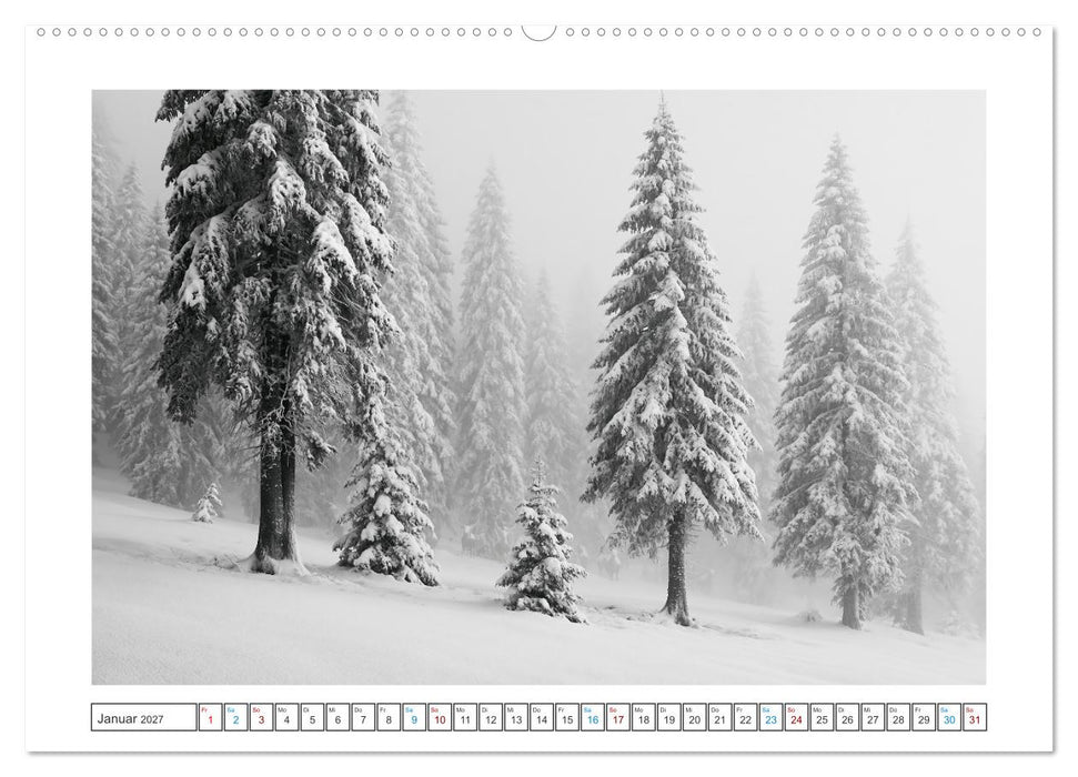 Stille der Natur (CALVENDO Wandkalender 2027)