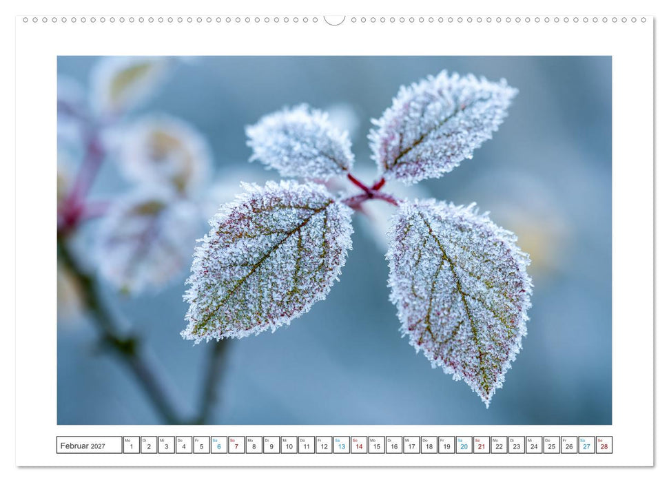 Stille der Natur (CALVENDO Wandkalender 2027)