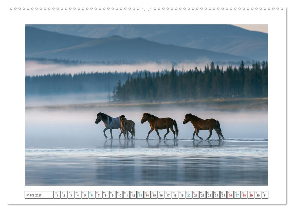 Stille der Natur (CALVENDO Wandkalender 2027)