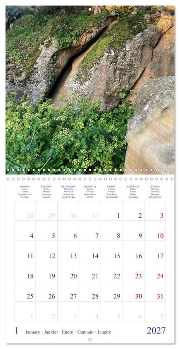 Sardegna - landscapes, sea and food from Sardinia (CALVENDO Monthly Calendar 2027)