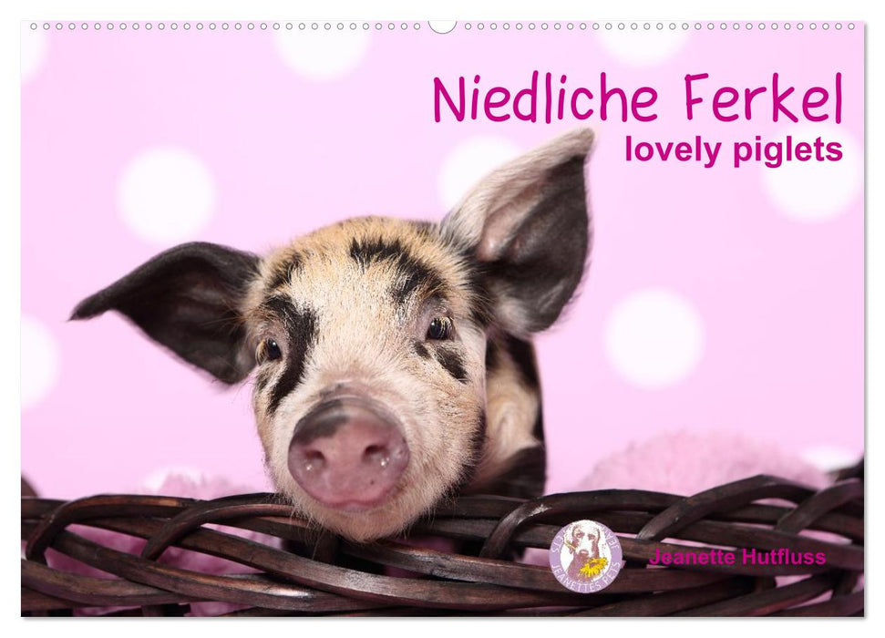 Niedliche Ferkel lovely piglets (CALVENDO Wandkalender 2027)