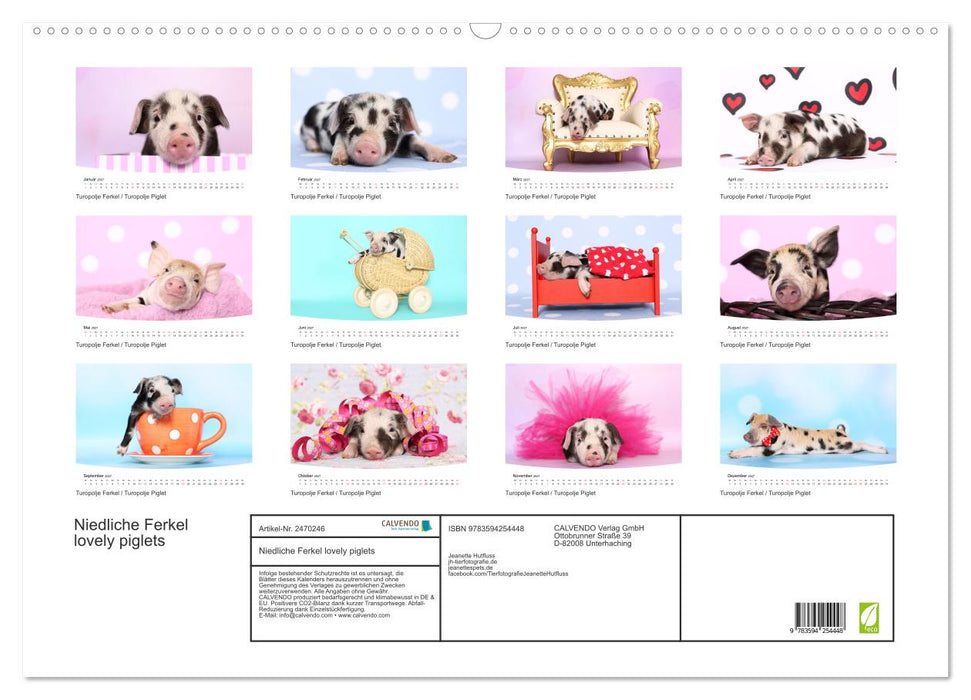 Niedliche Ferkel lovely piglets (CALVENDO Wandkalender 2027)
