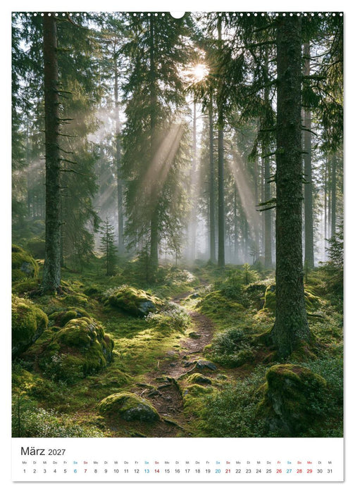 Die Seele der Natur (CALVENDO Premium Wandkalender 2027)
