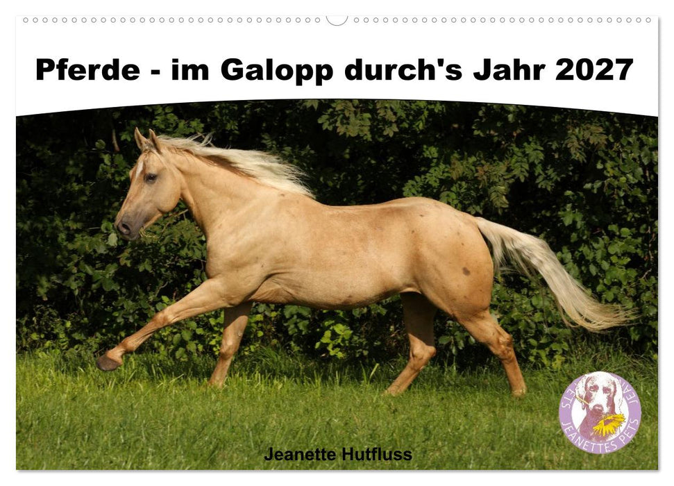 Pferde - im Galopp durch's Jahr 2027 (CALVENDO Wandkalender 2027)