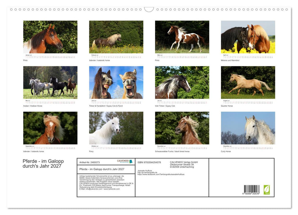 Pferde - im Galopp durch's Jahr 2027 (CALVENDO Wandkalender 2027)