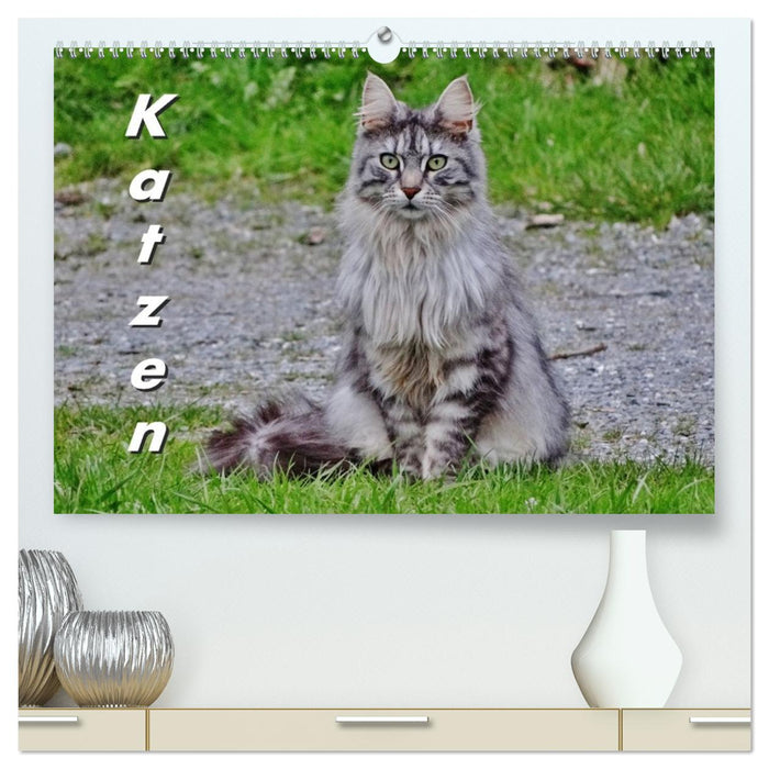 Katzen auf der Welt (CALVENDO Premium Wandkalender 2027)