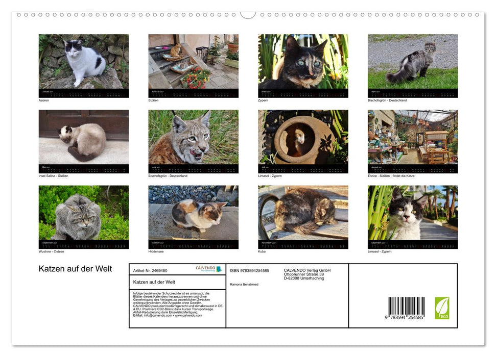 Katzen auf der Welt (CALVENDO Premium Wandkalender 2027)